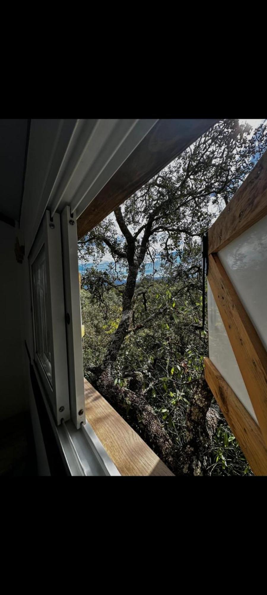 Cabana Del Arbol Lavagarural Villanueva del Rosario Exteriör bild