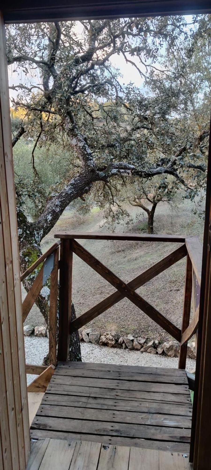 Cabana Del Arbol Lavagarural Villanueva del Rosario Exteriör bild