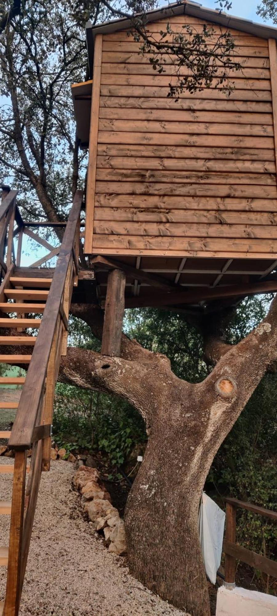 Cabana Del Arbol Lavagarural Villanueva del Rosario Exteriör bild